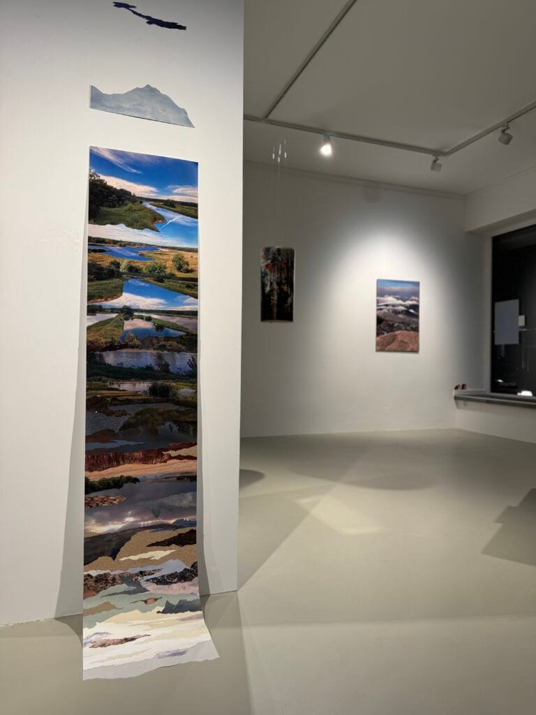 Installation view of Kinga Su's art exhibition at EXOgallery