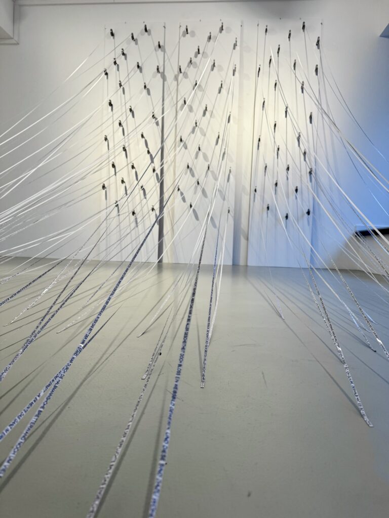 Beate Christine Winkler, Verflechtungen, EXOgallery, installation view