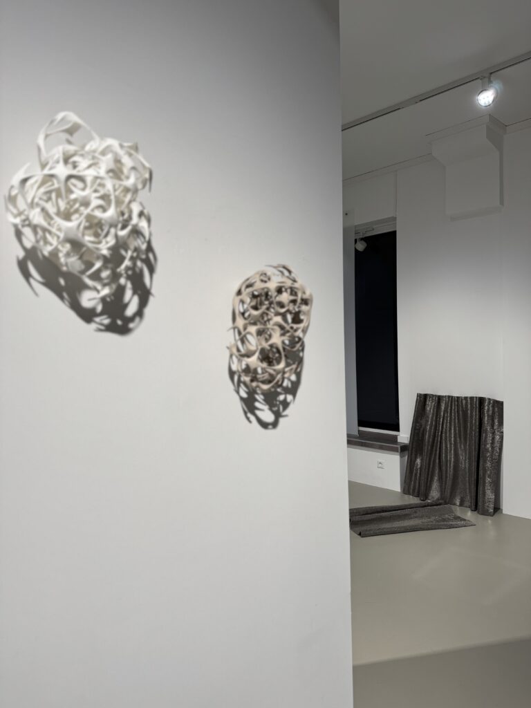 Beate Christine Winkler, Verflechtungen, EXOgallery, installation view