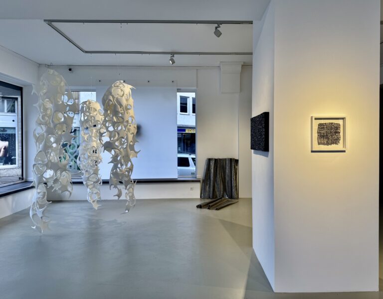 Beate Christine Winkler, Verflechtungen, EXOgallery, installation view