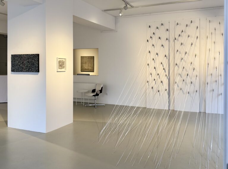 Beate Christine Winkler, Verflechtungen, EXOgallery, installation view